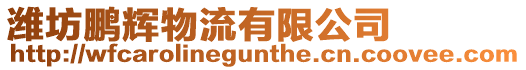 濰坊鵬輝物流有限公司