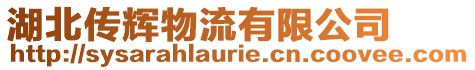湖北傳輝物流有限公司