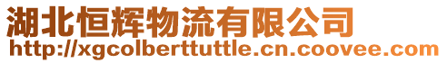 湖北恒輝物流有限公司