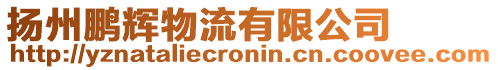 揚州鵬輝物流有限公司