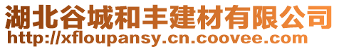 湖北谷城和豐建材有限公司