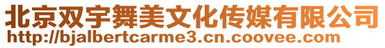 北京雙宇舞美文化傳媒有限公司