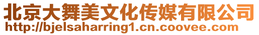 北京大舞美文化傳媒有限公司