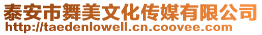 泰安市舞美文化傳媒有限公司