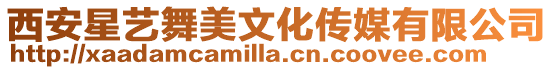 西安星藝舞美文化傳媒有限公司