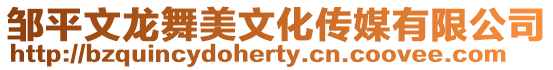 鄒平文龍舞美文化傳媒有限公司