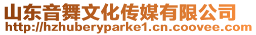 山東音舞文化傳媒有限公司