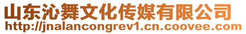 山東沁舞文化傳媒有限公司