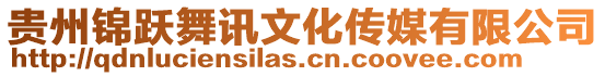 貴州錦躍舞訊文化傳媒有限公司