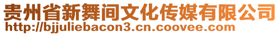 貴州省新舞間文化傳媒有限公司