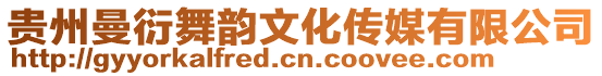 貴州曼衍舞韻文化傳媒有限公司