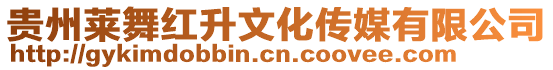 貴州萊舞紅升文化傳媒有限公司