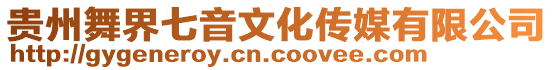 貴州舞界七音文化傳媒有限公司