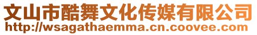 文山市酷舞文化傳媒有限公司