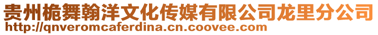 貴州桅舞翰洋文化傳媒有限公司龍里分公司
