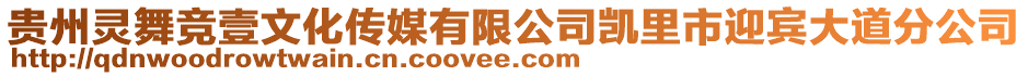 貴州靈舞競壹文化傳媒有限公司凱里市迎賓大道分公司