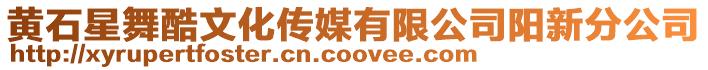 黃石星舞酷文化傳媒有限公司陽(yáng)新分公司