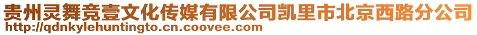 貴州靈舞競壹文化傳媒有限公司凱里市北京西路分公司