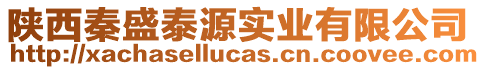 陜西秦盛泰源實業有限公司