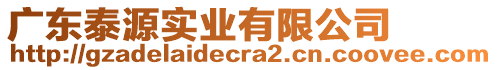 廣東泰源實業有限公司