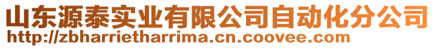 山東源泰實業有限公司自動化分公司