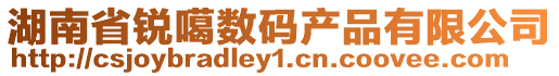湖南省銳噶數碼產品有限公司