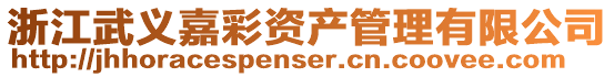 浙江武義嘉彩資產管理有限公司