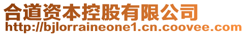 合道資本控股有限公司