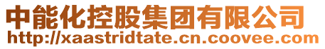 中能化控股集團有限公司