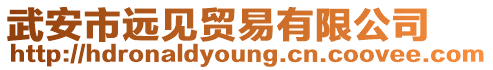 武安市遠見貿易有限公司