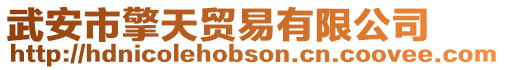 武安市擎天貿易有限公司