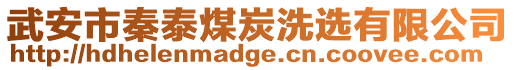 武安市秦泰煤炭洗選有限公司