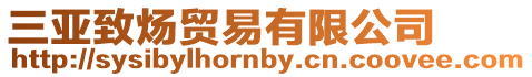 三亞致煬貿易有限公司