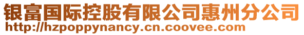 銀富國際控股有限公司惠州分公司