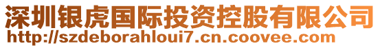 深圳銀虎國際投資控股有限公司