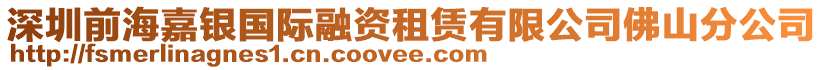 深圳前海嘉銀國際融資租賃有限公司佛山分公司