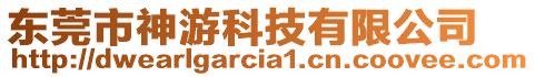 東莞市神游科技有限公司