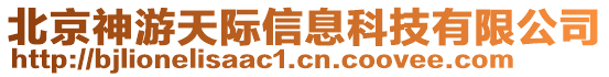 北京神游天際信息科技有限公司