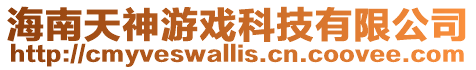 海南天神游戲科技有限公司