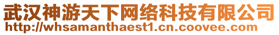 武漢神游天下網絡科技有限公司