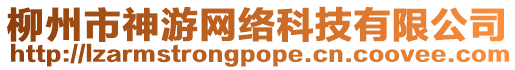 柳州市神游網絡科技有限公司