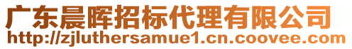 廣東晨暉招標(biāo)代理有限公司