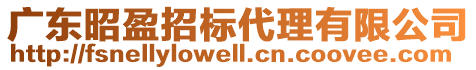 廣東昭盈招標代理有限公司