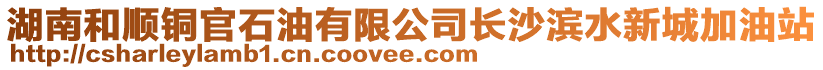湖南和順銅官石油有限公司長沙濱水新城加油站