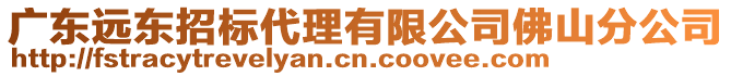 廣東遠(yuǎn)東招標(biāo)代理有限公司佛山分公司