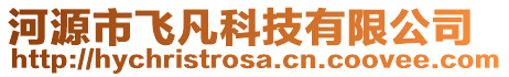 河源市飛凡科技有限公司
