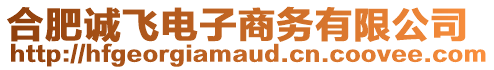 合肥誠飛電子商務有限公司