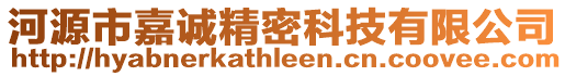 河源市嘉誠精密科技有限公司