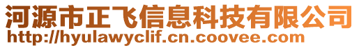 河源市正飛信息科技有限公司