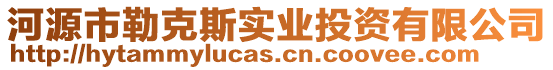 河源市勒克斯實業投資有限公司